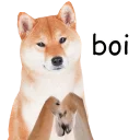 Стикер shibea - 8