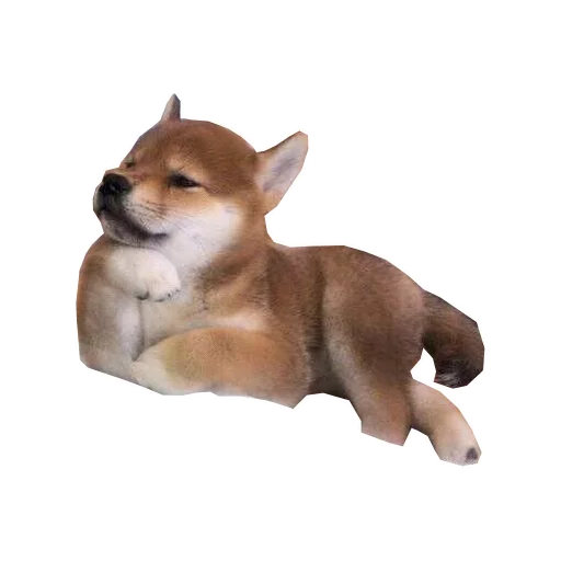 домашнее животное животное млекопитающее