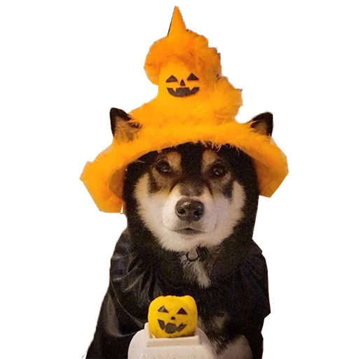 животное млекопитающее мультфильм