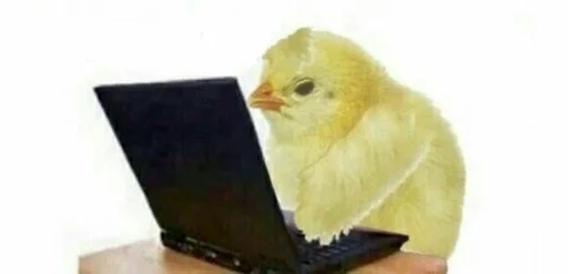 bird chicken computer