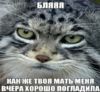 Sticker какашки - 6