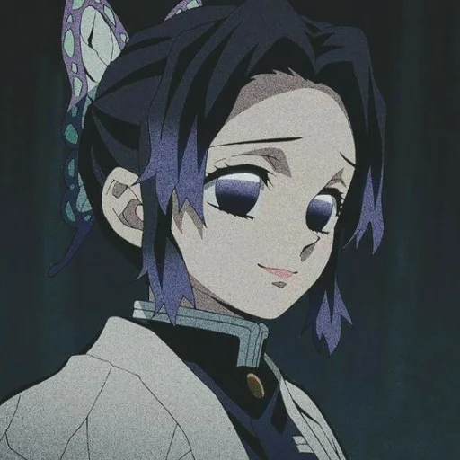 Стикер shinobu kochou🫐🦋💜 - 10