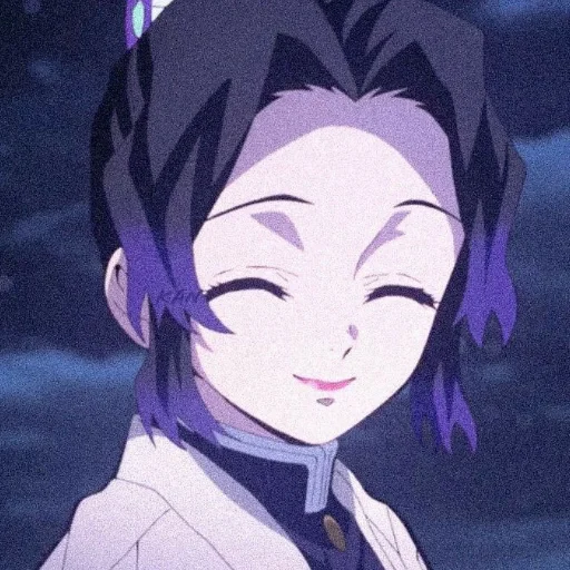 Стикер shinobu kochou🫐🦋💜 - 4