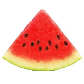 Sticker 친칠라 - 2