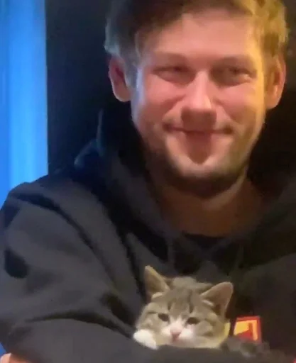 cat person domestic cat