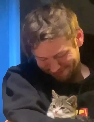 person cat small to medium-sized cats