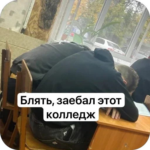 Sticker shipmonze - 1