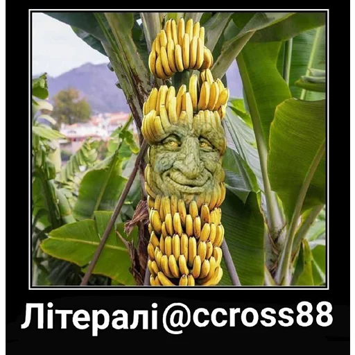 Sticker Шизослав Дрєвоштаб - 7