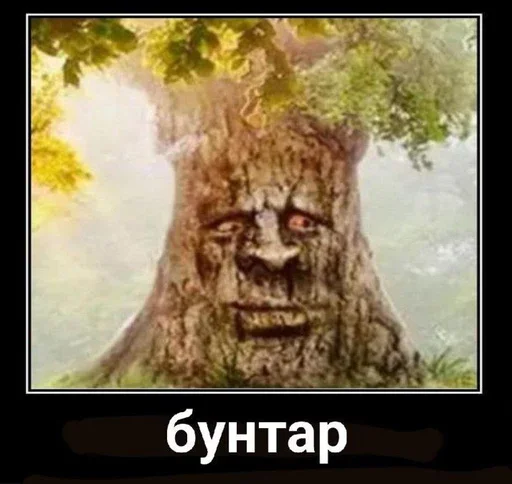 Sticker Шизослав Дрєвоштаб - 6