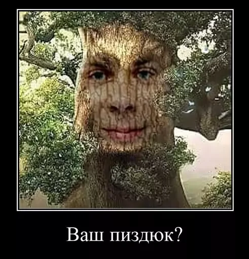 Sticker Шизослав Дрєвоштаб - 0