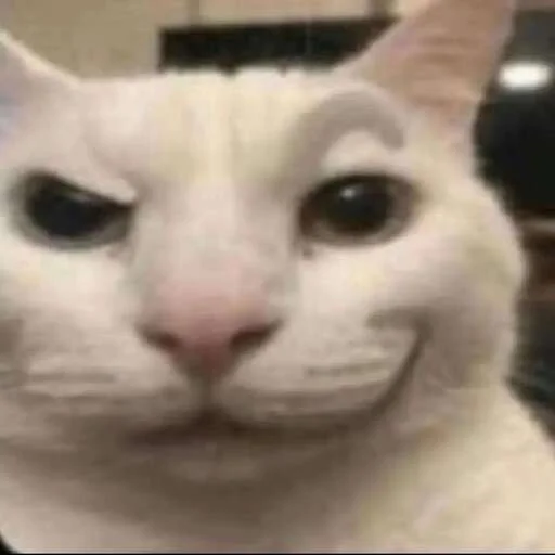 Sticker shitmemew - 1