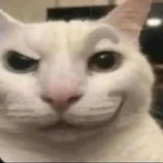 Стикер shit memes by @thejulfor - 11