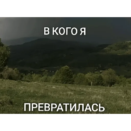 text tree screenshot