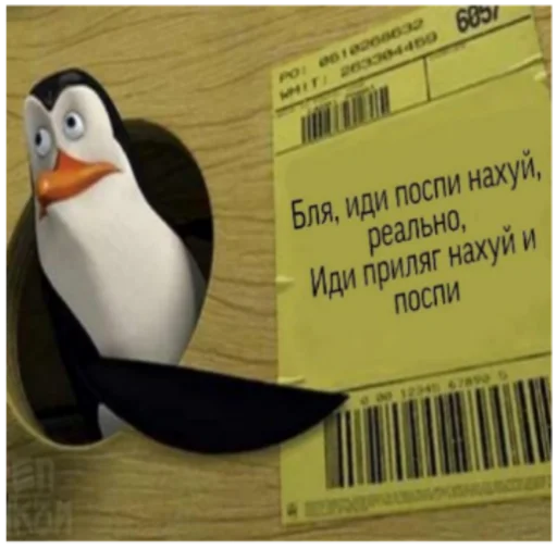 text aquatic bird beak