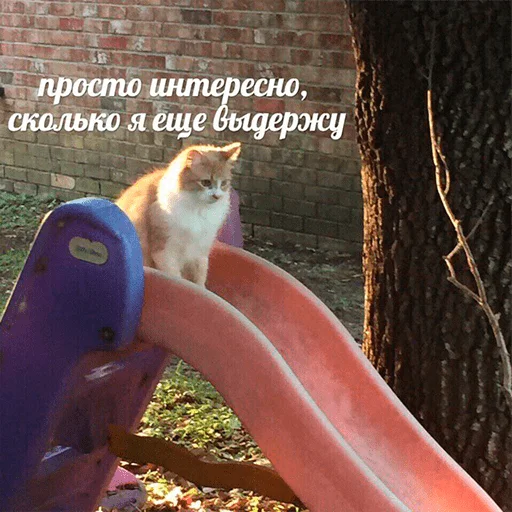 Sticker пак моей кукухи - @jdrst - 4