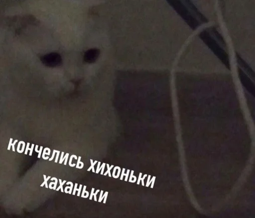 Стикер shiziky - 8