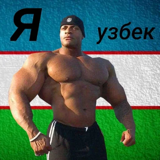 Человек мышца грудь