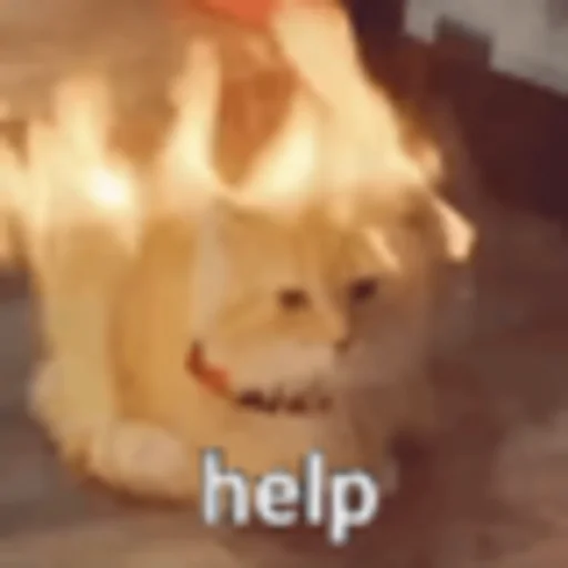 Sticker shiznenno - 1