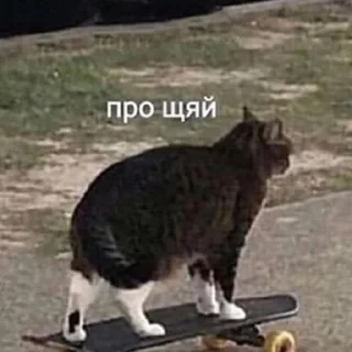 Стикер шиза by @deatoull - 7