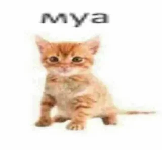 Стикер шиза by @deatoull - 6