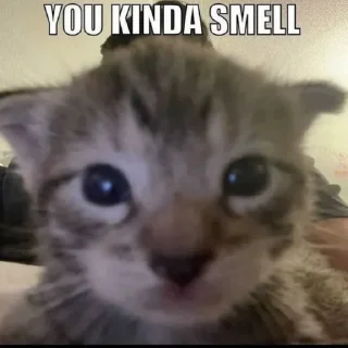 Стикер шиза by @deatoull - 2