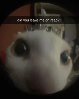 Стикер шиза by @deatoull - 1