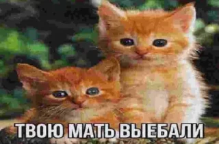 Стикер шиза by @deatoull - 11