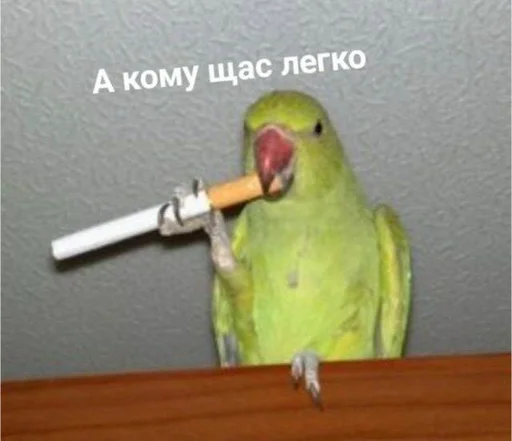 Sticker Шиза. - 11