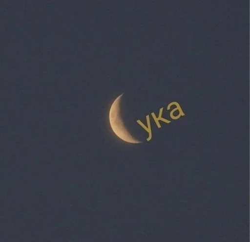 Sticker Шиза. - 10