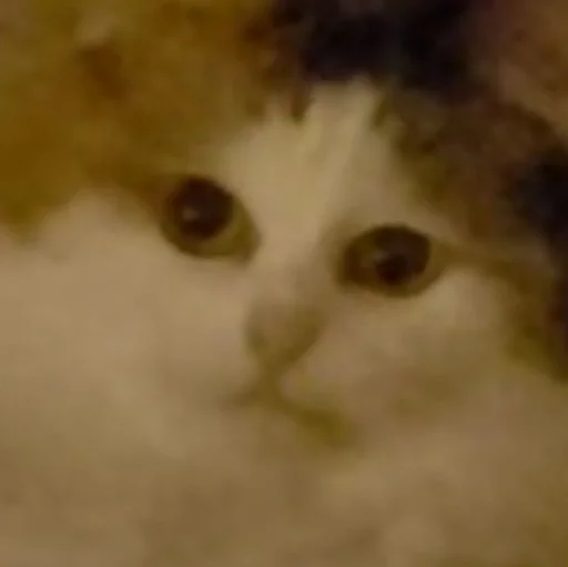 Sticker Шиза. - 9