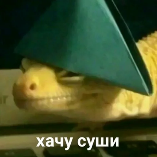 Sticker Шиза. - 8