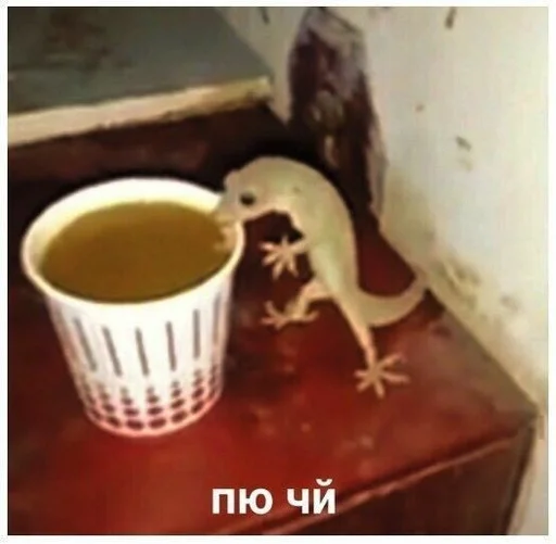 Sticker Шиза. - 4