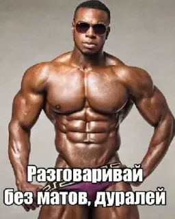 muscle bodybuilding chest