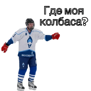 Стикер SHL🖤 - 10