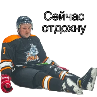 Стикер SHL🖤 - 11