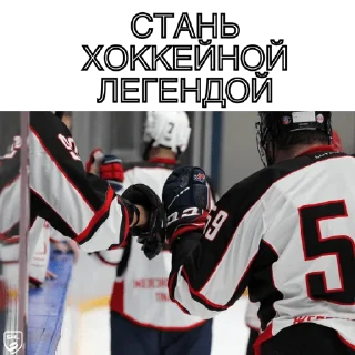 Стикер SHL🖤 - 1