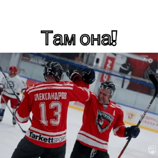 Стикер SHL🖤 - 5