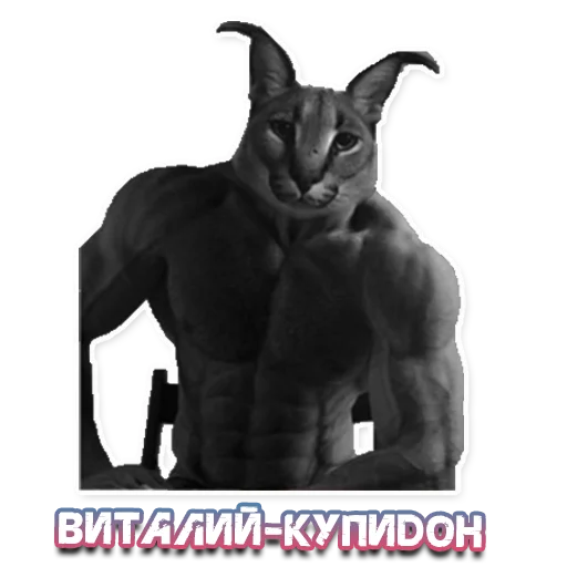 Стикер ШлёпаFloppa - 11