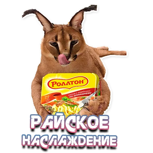 Стикер ШлёпаFloppa - 9