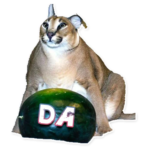 Стикер ШлёпаFloppa - 8