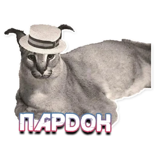 Стикер ШлёпаFloppa - 4