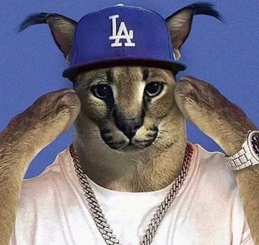 animal cat fashion accessory