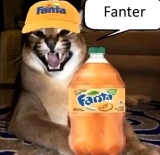 beverage drink animal