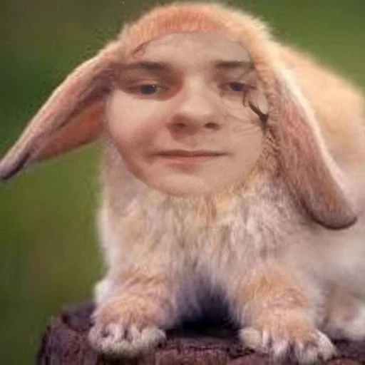 Sticker shlunkhus - 1