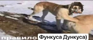 Стикер shlunkhus - 4