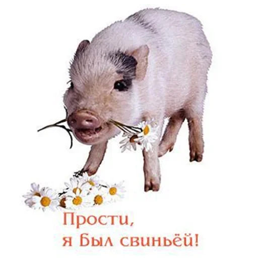 Стикер пак от шызи - 11