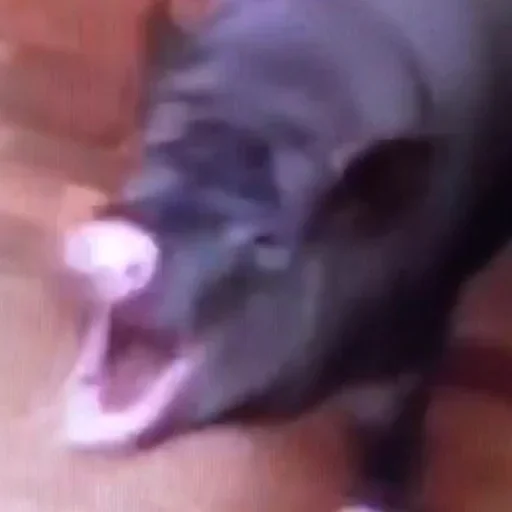 Стикер пак от шызи - 10