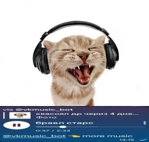 пак от шызи - 