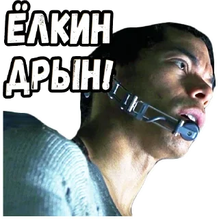 Sticker Шматрица (2) :: @elsticko - 3