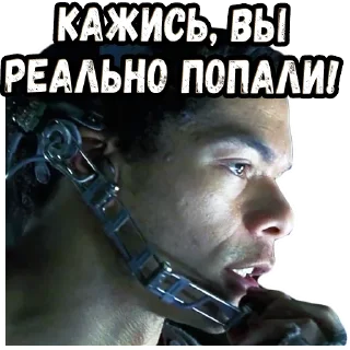 Sticker Шматрица (2) :: @elsticko - 2